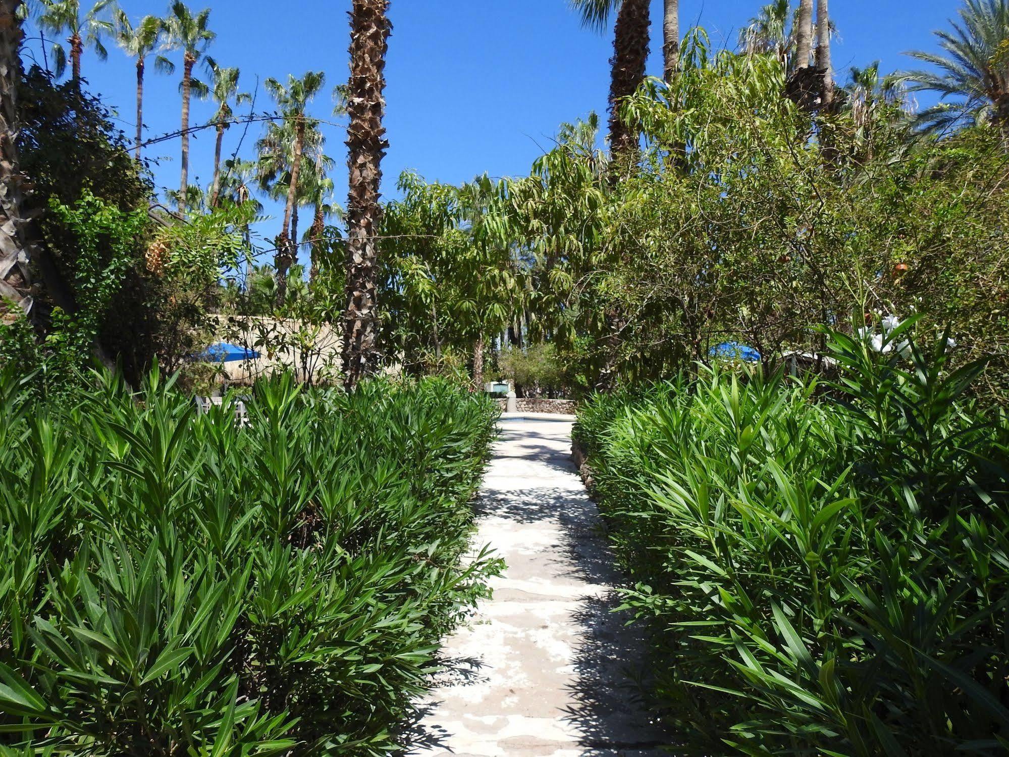 Hotel Oasis Loreto  Exterior foto